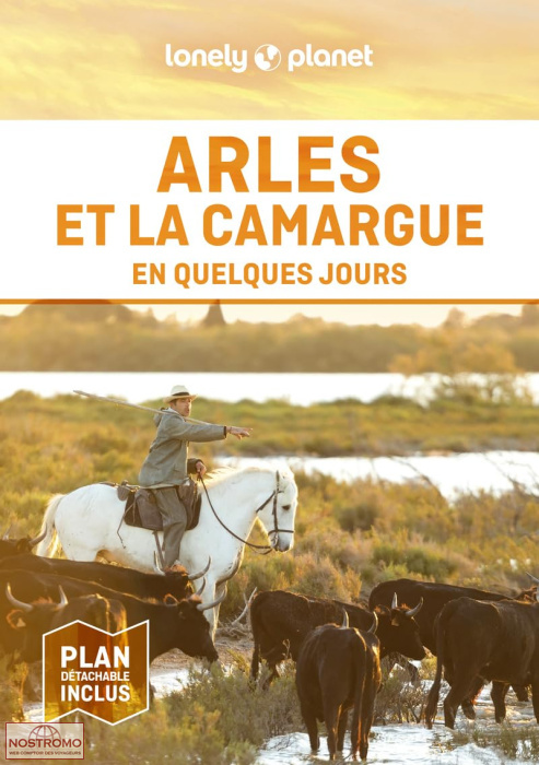 ARLES ET LA CAMARGUE | Lonely Planet travel guide