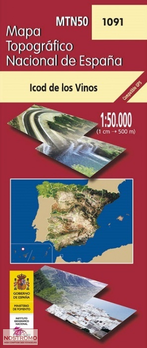 1091 ICOD DE LOS VINOS | carte topographique CNIG