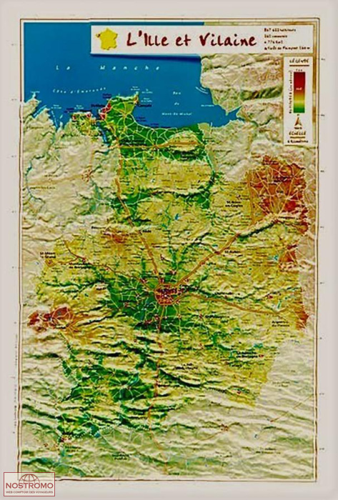 ILLE-ET-VILAINE | Georelief relief map