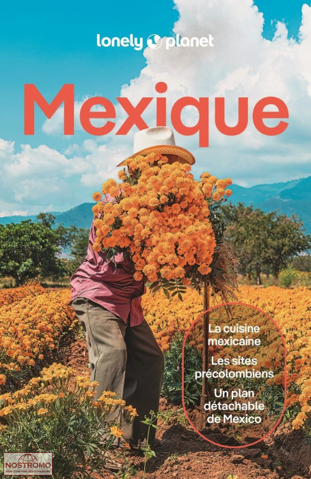 MEXIQUE | guide touristique Lonely Planet