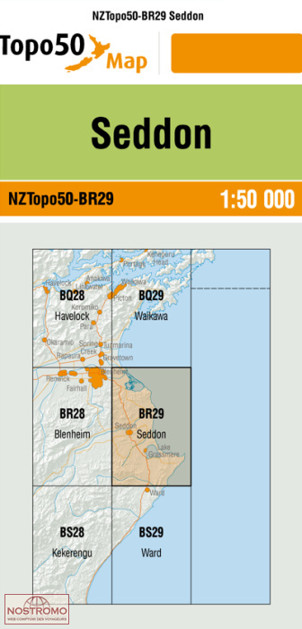 BR29 SEDDON | carte topographique LINZ